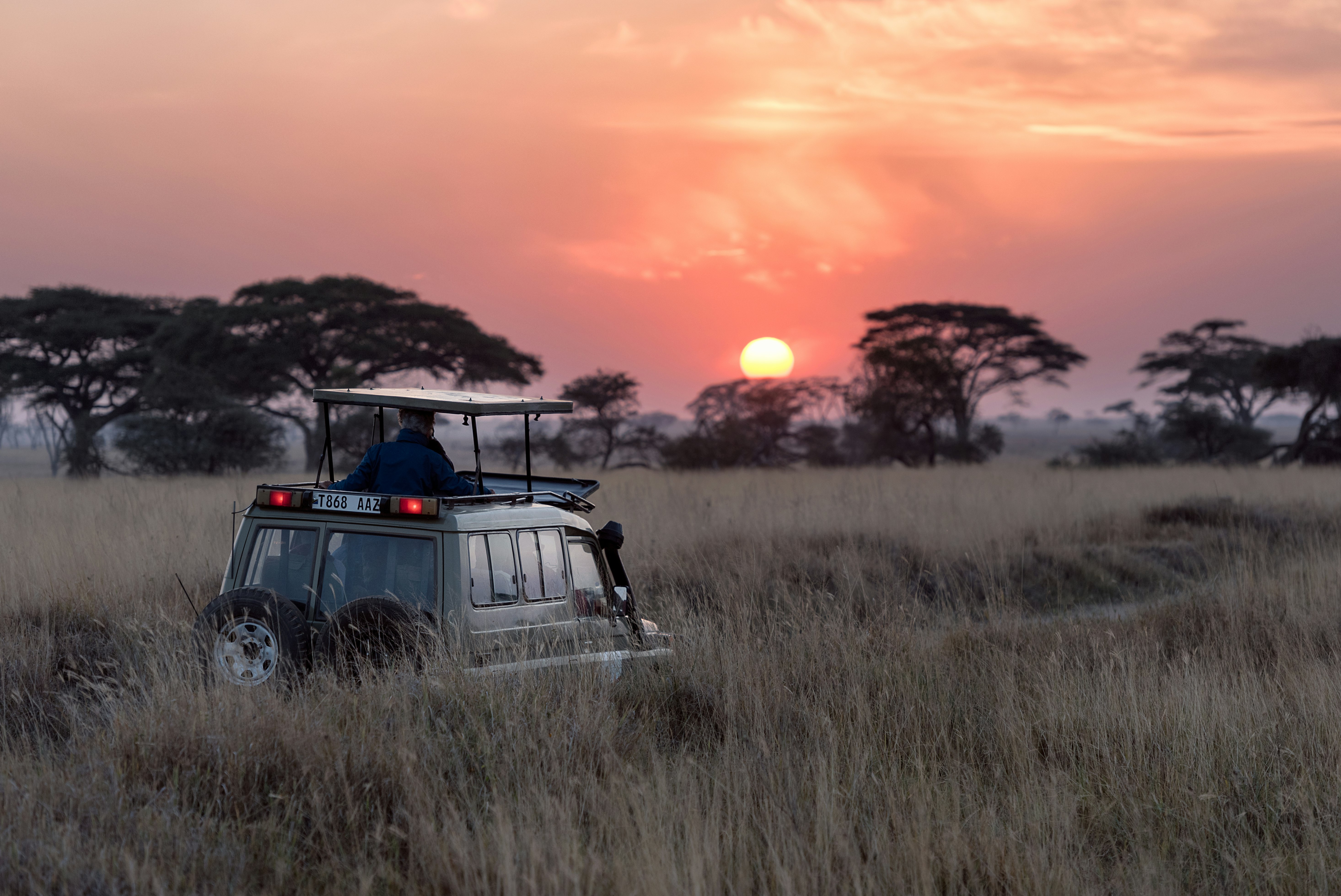 Luxury Safari Tours