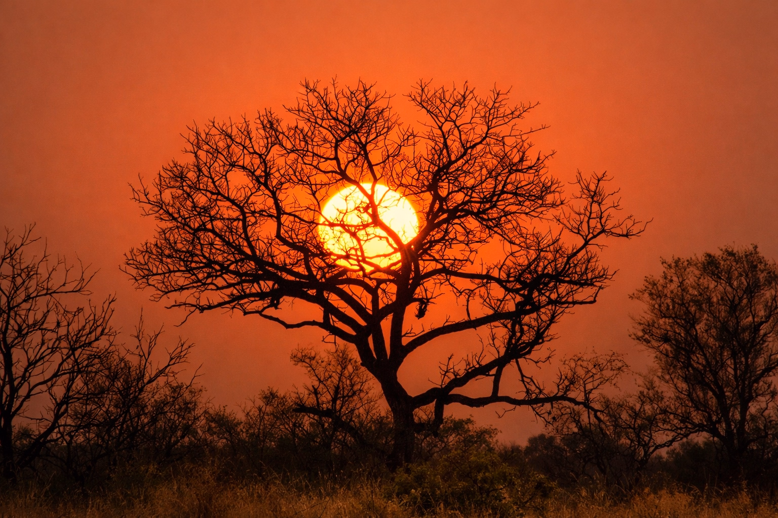 African sunset